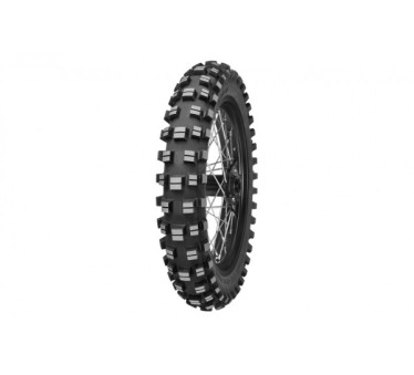 Immagine rappresentativa della gomma MITAS  MITAS XT-754 110/100 R18 64P