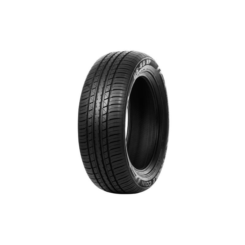 Immagine rappresentativa della gomma DOUBLE COIN  DOUBLE COIN DS66HP 225/55 R19 99V C D B 71dB