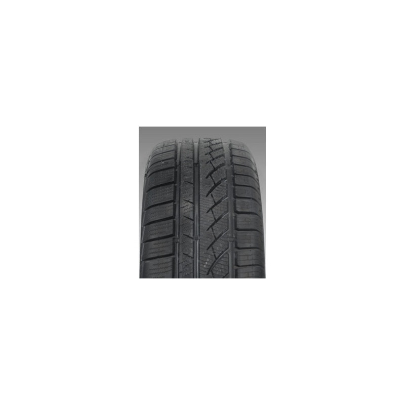 Immagine rappresentativa della gomma KING MEILER KING MEILER WINTER TACT 81 M+S 3PMSF 195/65 R15 91H