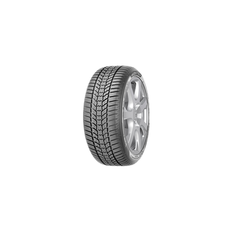 Immagine rappresentativa della gomma SAVA SAVA Eskimo HP 2 205/55 R16 91H C B B 71dB