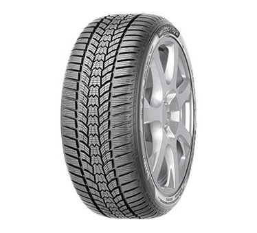 Immagine rappresentativa della gomma SAVA SAVA ESKIMO HP2 205/55 R16 94H