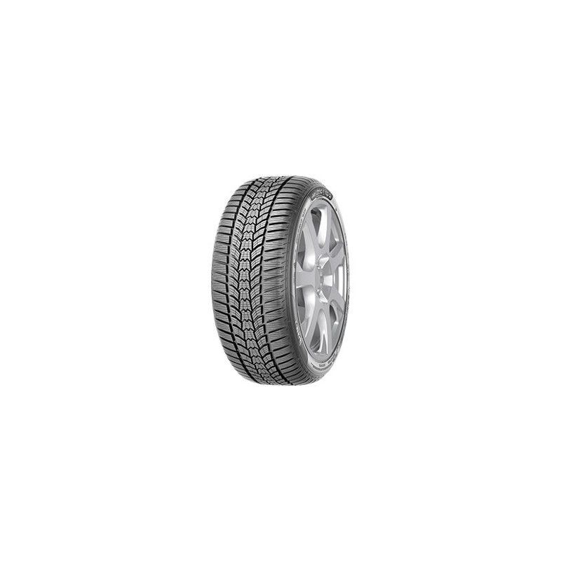 Immagine rappresentativa della gomma SAVA SAVA ESKIMO HP2 205/55 R16 94H