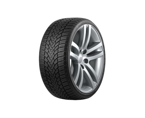 Immagine rappresentativa della gomma ROADMARCH ROADMARCH WINTER XPRO 888 XL BSW M+S 3PMSF 205/45 R16 87V C D B 69dB XL