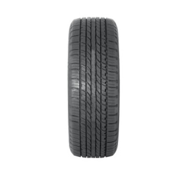 Immagine rappresentativa della gomma DOUBLESTAR DOUBLESTAR LANDRIDER DS01 BSW 225/65 R17 102T D C B 71dB