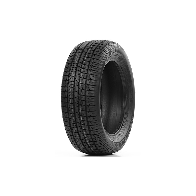 Immagine rappresentativa della gomma DOUBLE COIN DOUBLE COIN DW300 175/65 R14 82T D D B 71dB