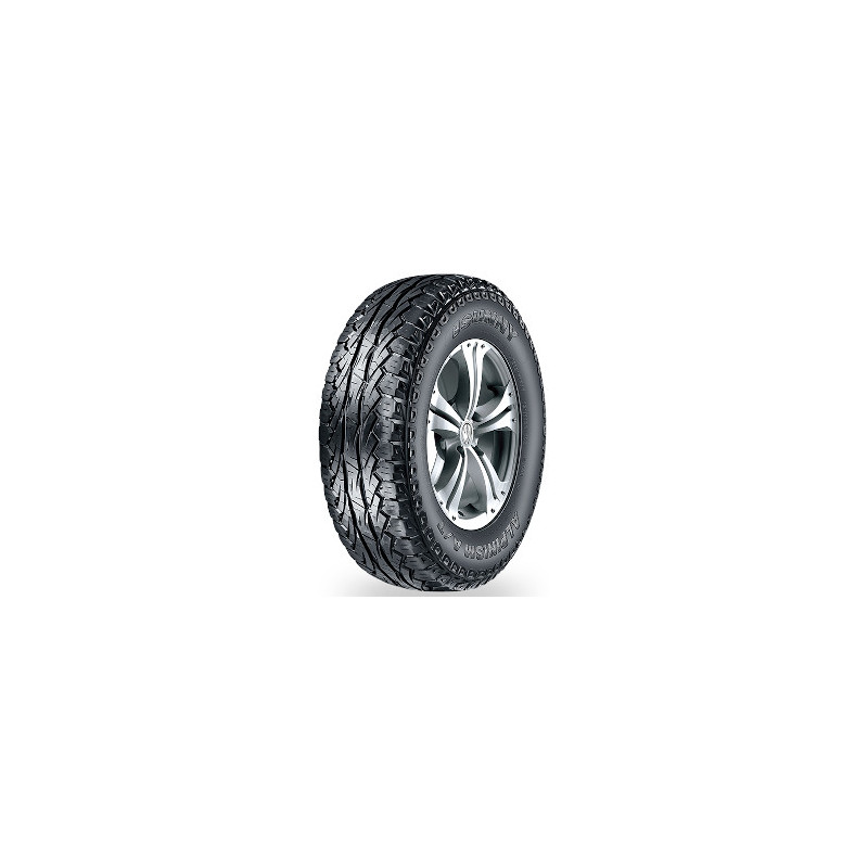 Immagine rappresentativa della gomma SUNNY SUNNY NU006 265/50 R20 111V D C C 72dB XL