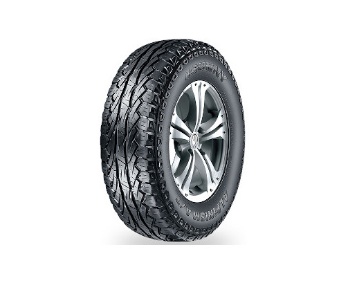 Immagine rappresentativa della gomma SUNNY SUNNY NU006 265/50 R20 111V D C C 72dB XL