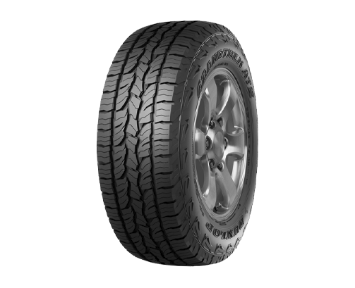 Immagine rappresentativa della gomma DUNLOP DUNLOP GrandTrek AT5 255/70 R16 111T D C B 72dB