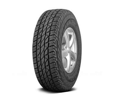 Immagine rappresentativa della gomma EPTYRES EPTYRES ACCELERA OMIKRON A/T M+S 265/70 R17 121Q C A B 72dB