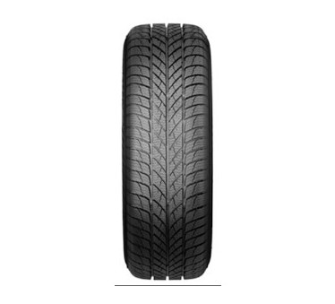 Immagine rappresentativa della gomma PAXARO PAXARO PAXARO INVERNO XL FR M+S 3PMSF 215/50 R17 95W D C B 72dB XL