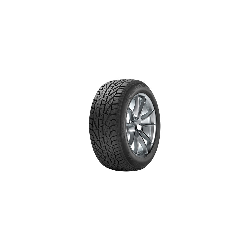 Immagine rappresentativa della gomma TAURUS TAURUS TAURUS SUV WINTER BSW M+S 3PMSF 225/55 R18 98V D C B 72dB