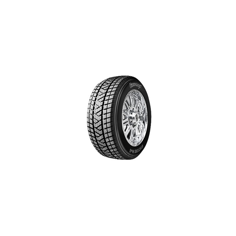 Immagine rappresentativa della gomma GRIPMAX GRIPMAX STATURE WINTER XL M+S 3PMSF 255/65 R17 110H C C B 72dB XL