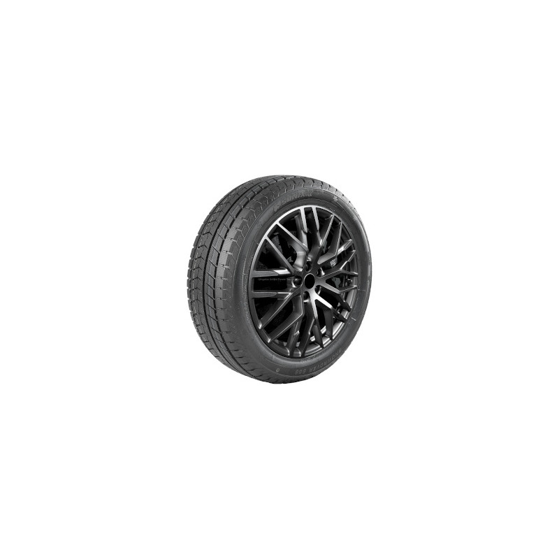 Immagine rappresentativa della gomma SONIX SONIX Snowrover 868 225/60 R17 99H