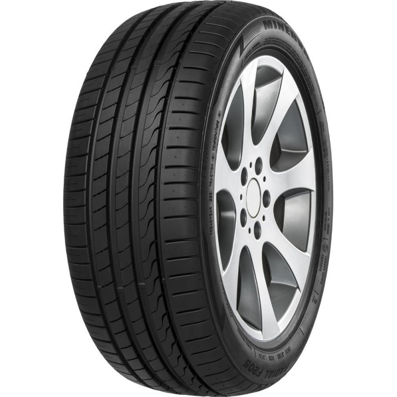 Immagine rappresentativa della gomma MINERVA  MINERVA F205 XL 225/55 R17 101W C B A 71dB