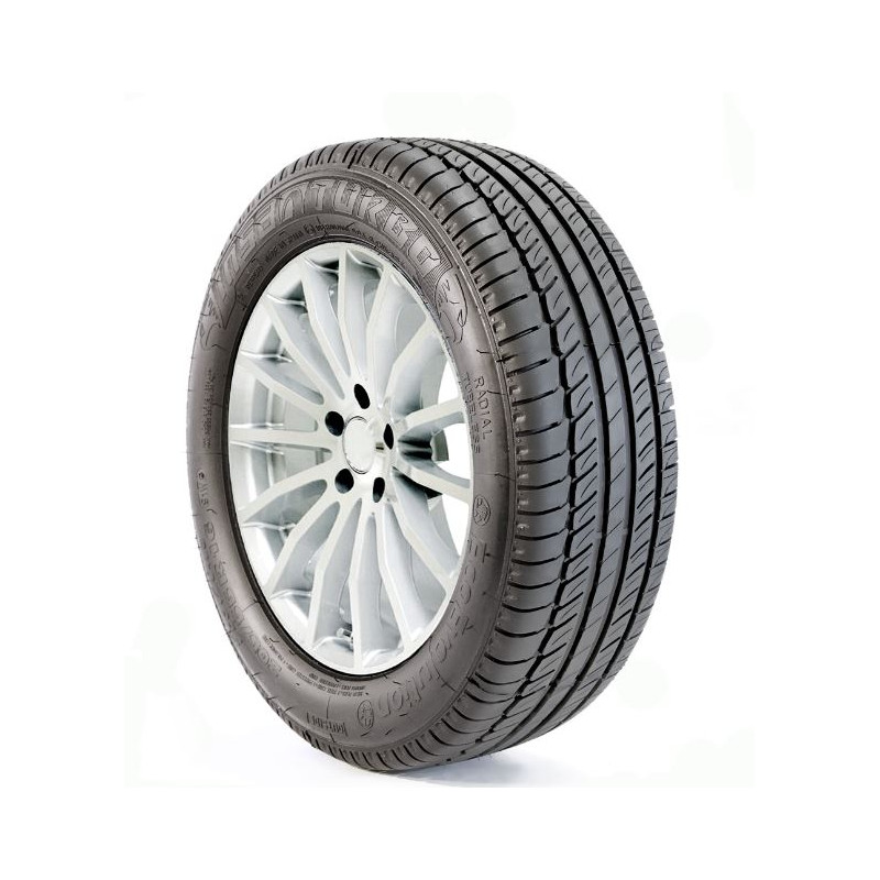 Immagine rappresentativa della gomma INSA TURBO INSA TURBO ECOEVOLUTION PLUS 195/55 R16 87V