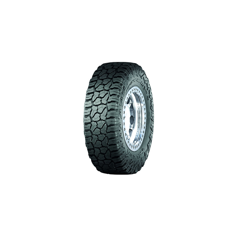 Immagine rappresentativa della gomma FALKEN FALKEN WP R/T RT01 285/65 R18 121Q